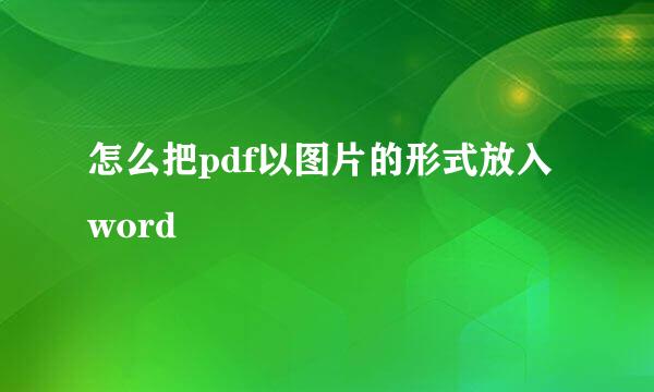 怎么把pdf以图片的形式放入word