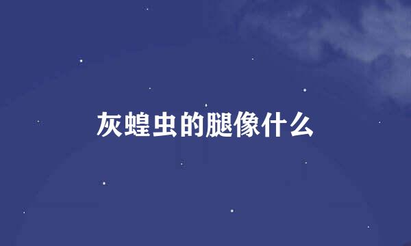 灰蝗虫的腿像什么