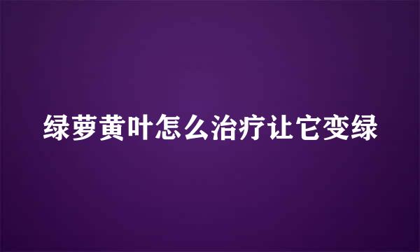 绿萝黄叶怎么治疗让它变绿