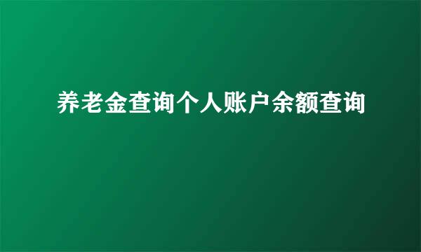 养老金查询个人账户余额查询