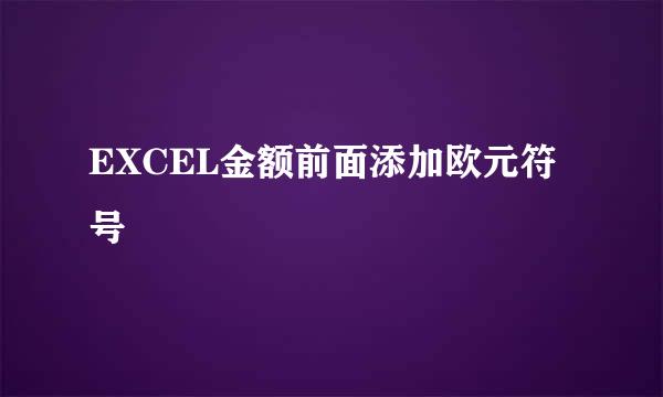EXCEL金额前面添加欧元符号