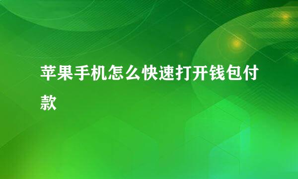苹果手机怎么快速打开钱包付款