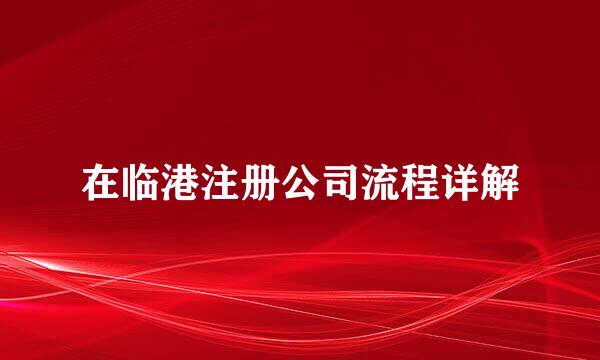 在临港注册公司流程详解