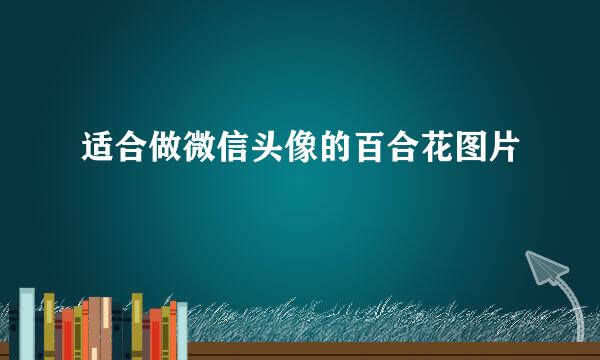 适合做微信头像的百合花图片