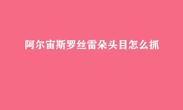 阿尔宙斯罗丝雷朵头目怎么抓