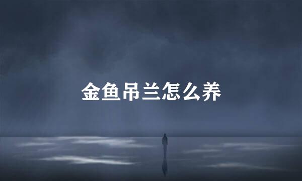 金鱼吊兰怎么养