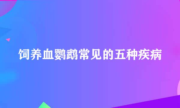 饲养血鹦鹉常见的五种疾病