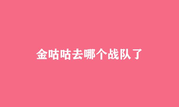 金咕咕去哪个战队了