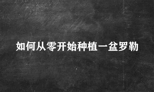 如何从零开始种植一盆罗勒