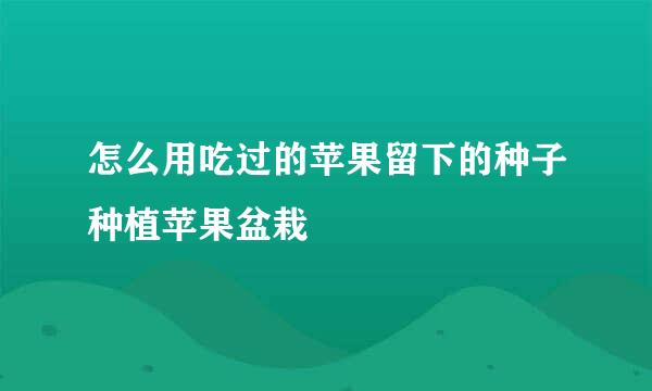 怎么用吃过的苹果留下的种子种植苹果盆栽