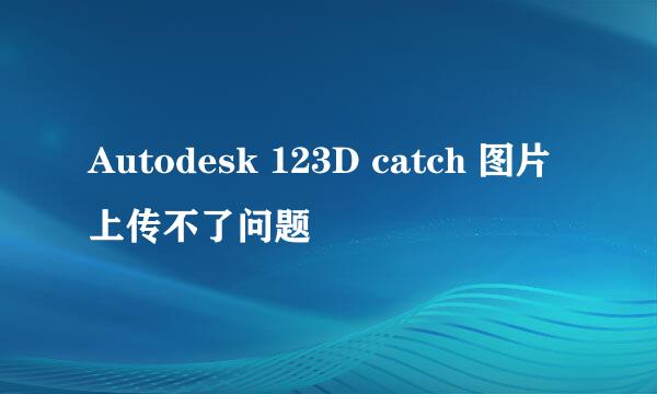 Autodesk 123D catch 图片上传不了问题