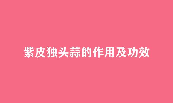 紫皮独头蒜的作用及功效