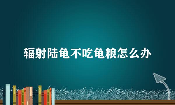 辐射陆龟不吃龟粮怎么办