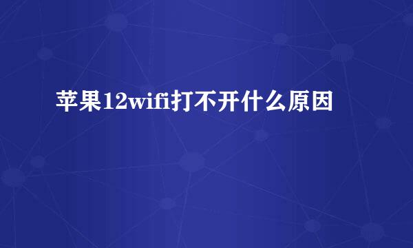 苹果12wifi打不开什么原因