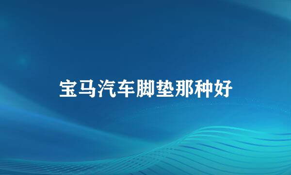 宝马汽车脚垫那种好