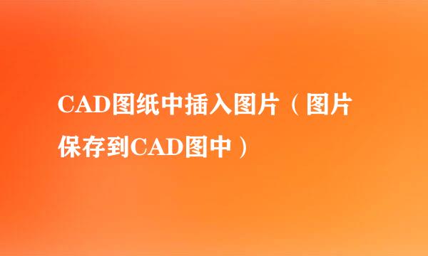 CAD图纸中插入图片（图片保存到CAD图中）