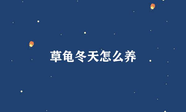 草龟冬天怎么养