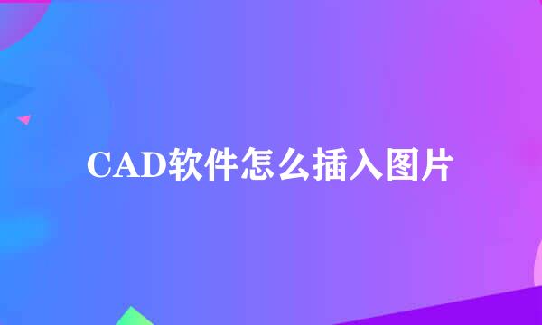 CAD软件怎么插入图片