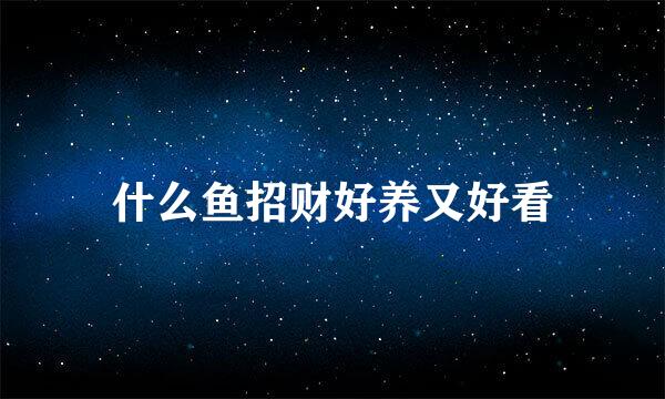 什么鱼招财好养又好看