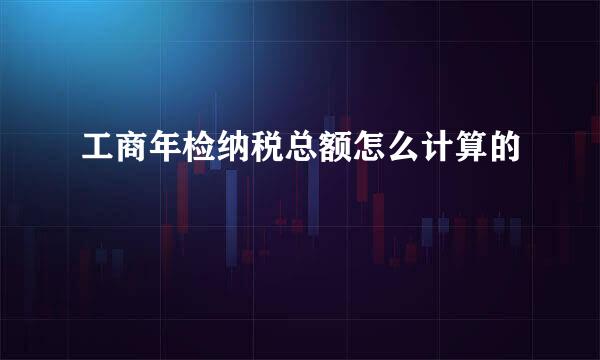 工商年检纳税总额怎么计算的