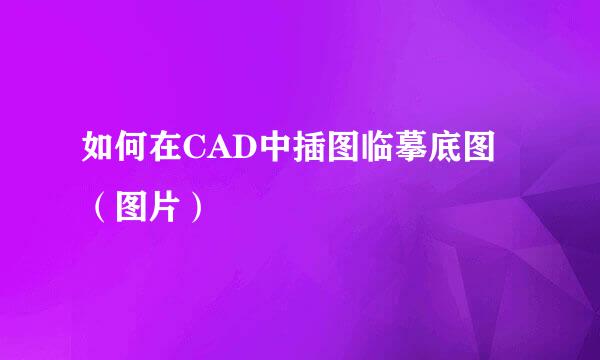 如何在CAD中插图临摹底图（图片）