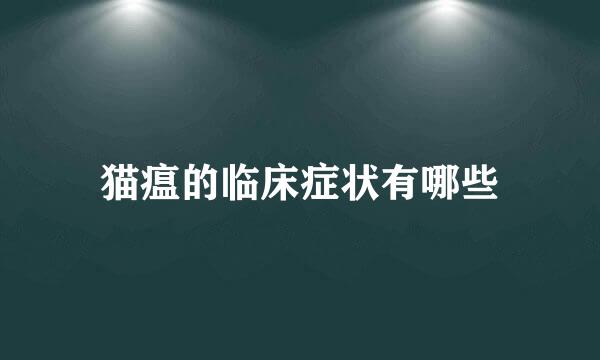 猫瘟的临床症状有哪些