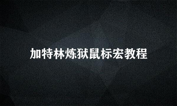 加特林炼狱鼠标宏教程