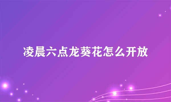 凌晨六点龙葵花怎么开放