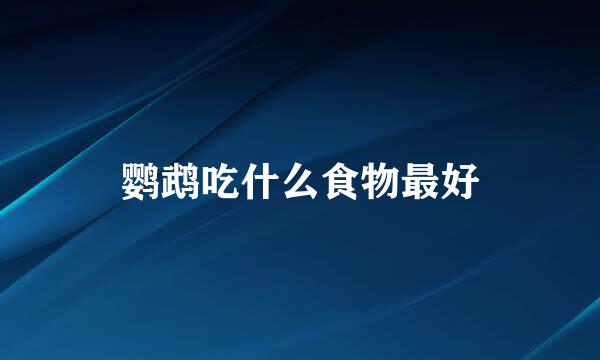 鹦鹉吃什么食物最好