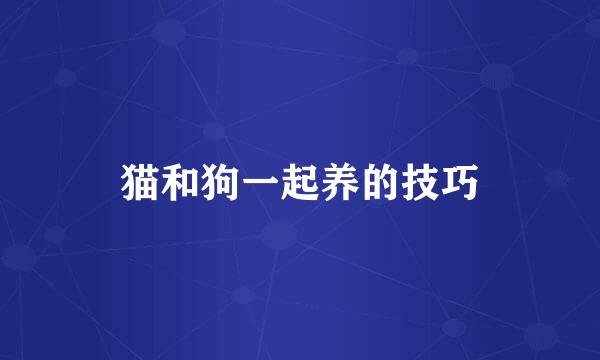 猫和狗一起养的技巧