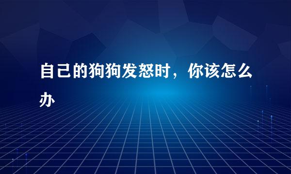 自己的狗狗发怒时，你该怎么办