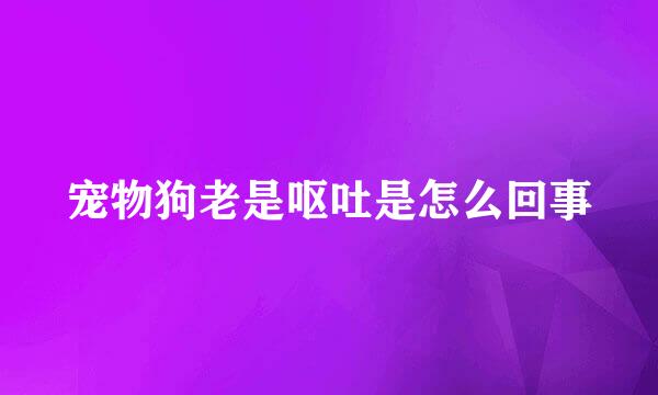 宠物狗老是呕吐是怎么回事