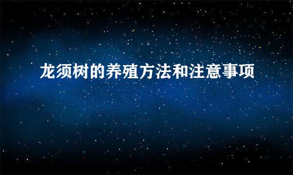 龙须树的养殖方法和注意事项