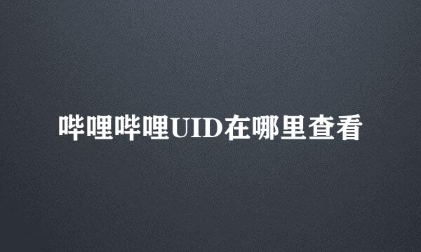 哔哩哔哩UID在哪里查看