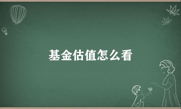 基金估值怎么看