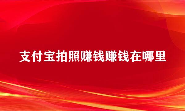 支付宝拍照赚钱赚钱在哪里