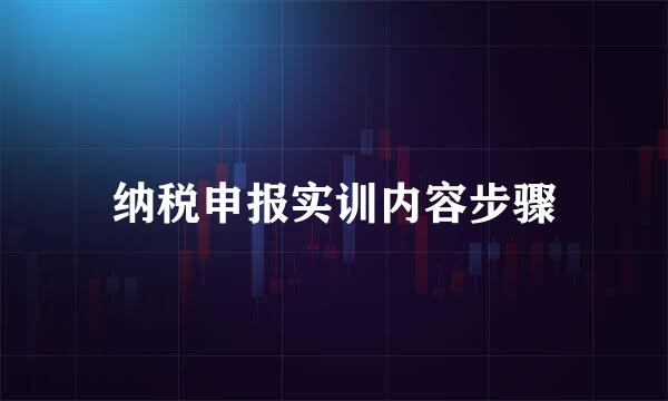 纳税申报实训内容步骤