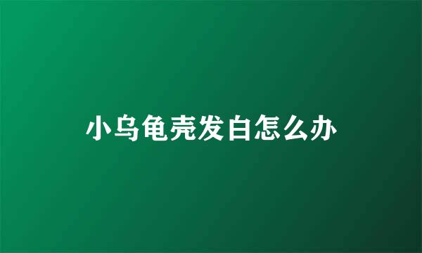 小乌龟壳发白怎么办