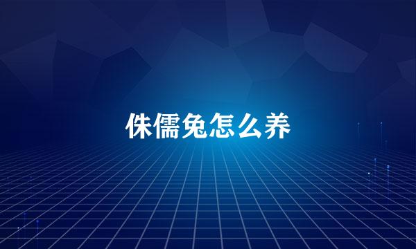 侏儒兔怎么养