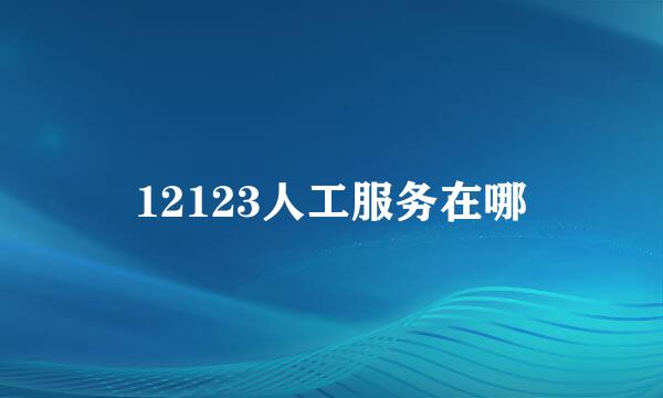 12123人工服务在哪