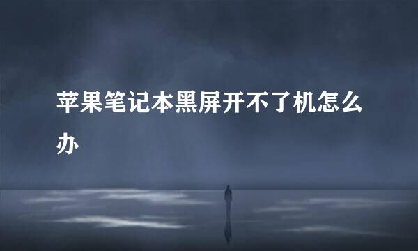 苹果笔记本黑屏开不了机怎么办