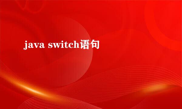 java switch语句