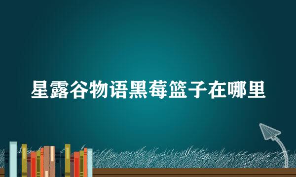 星露谷物语黑莓篮子在哪里