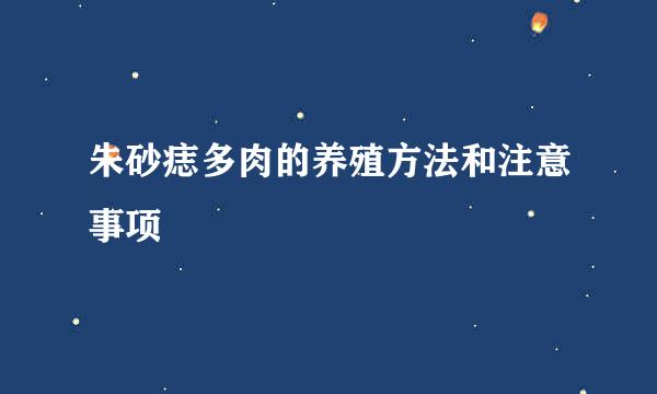 朱砂痣多肉的养殖方法和注意事项