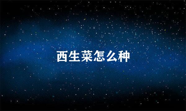 西生菜怎么种