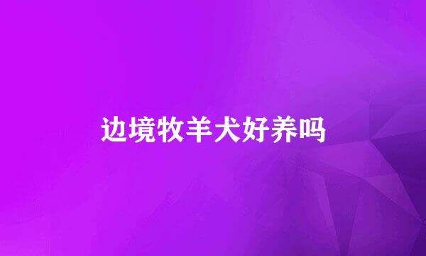 边境牧羊犬好养吗