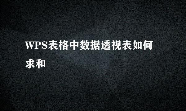 WPS表格中数据透视表如何求和