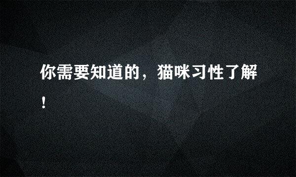 你需要知道的，猫咪习性了解！