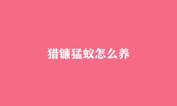 猎镰猛蚁怎么养