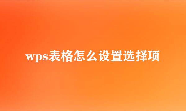 wps表格怎么设置选择项